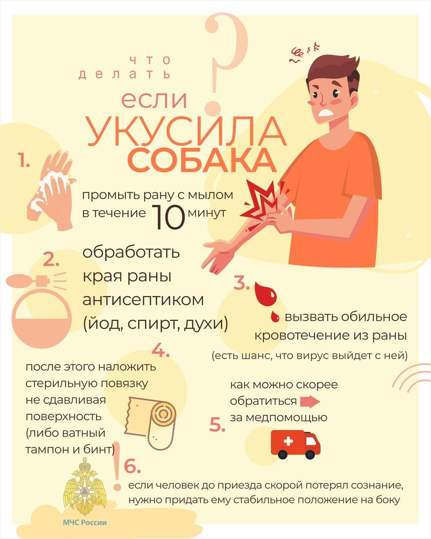 Что делать, если вас укусила собака.